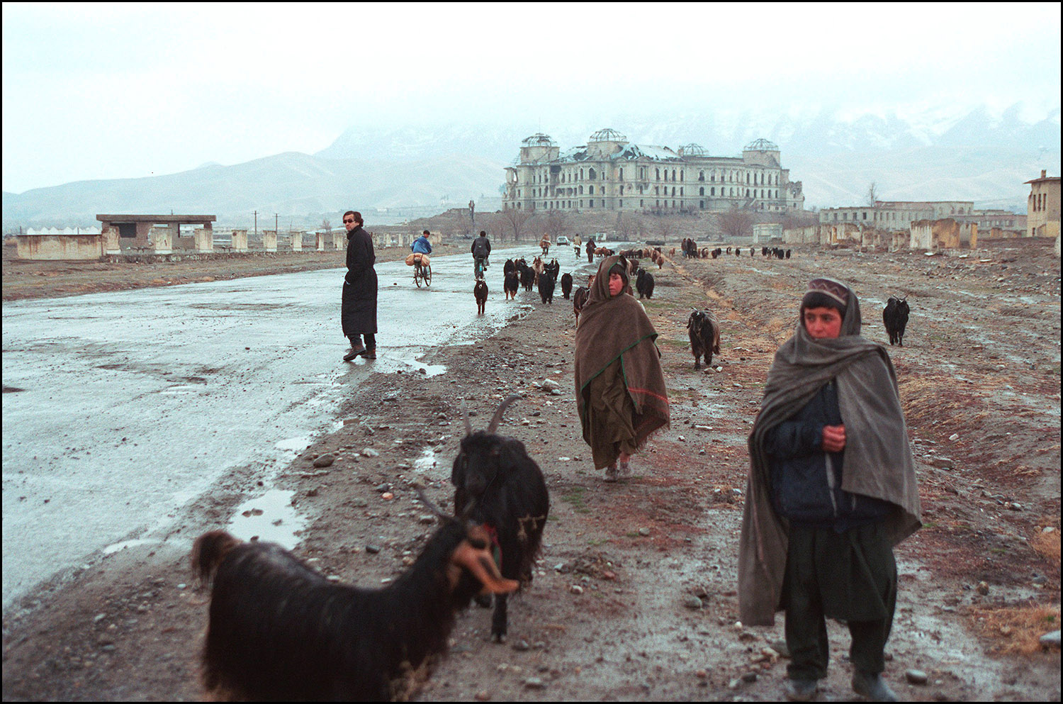 Bernard-Henri Lévy sur une route a Kaboul. Au premier plan il y a des Afghans avec des chèvres. Au fond, la ville, le Palais de Darulaman et les montagnes enneigées