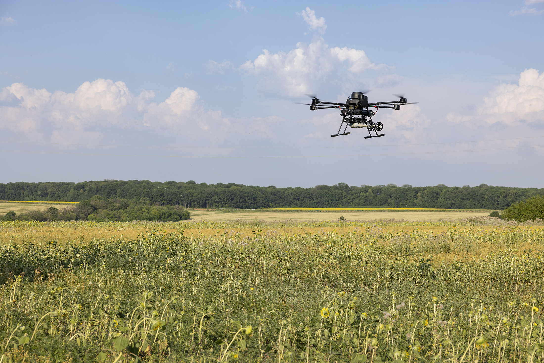 Un drone ukrainien vole au dessus d'un champ